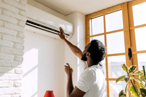 Best Solar-powered HVAC Systems in Independence, MN